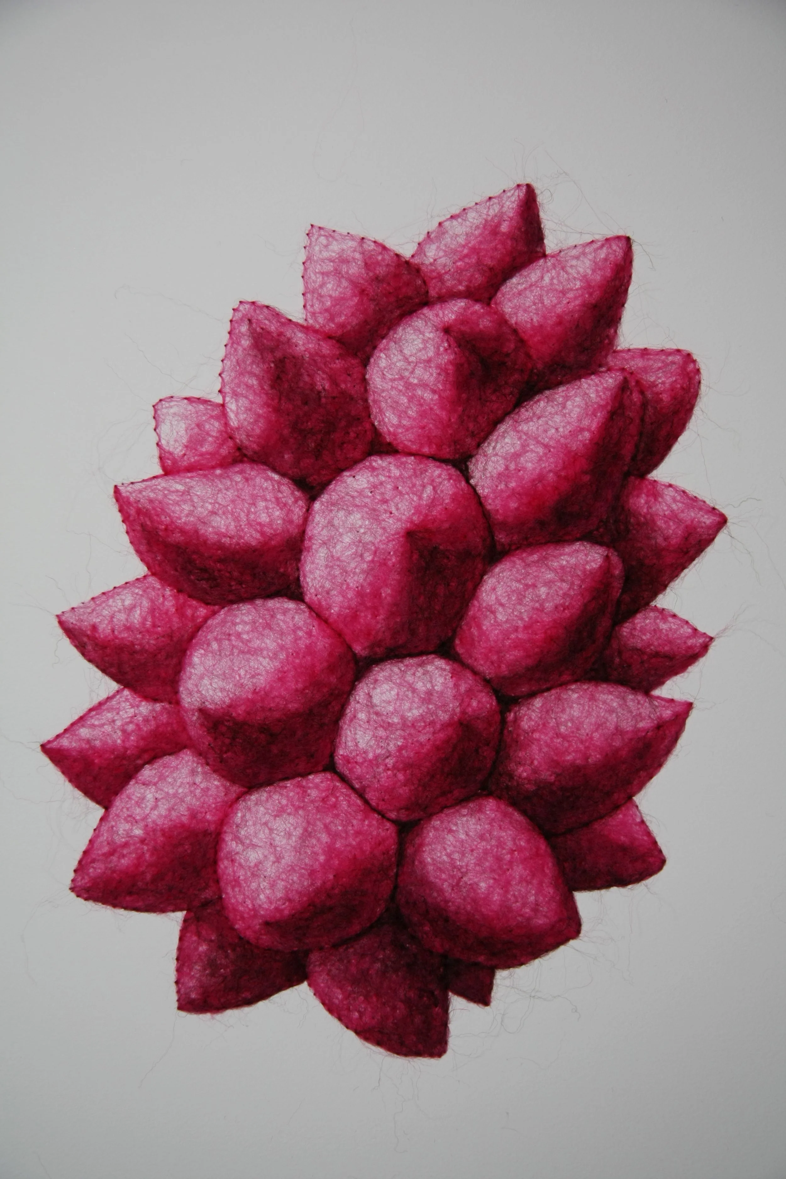 Succulence 5, wool through paper, framed, 22 x 15 x .25 inches, 2025