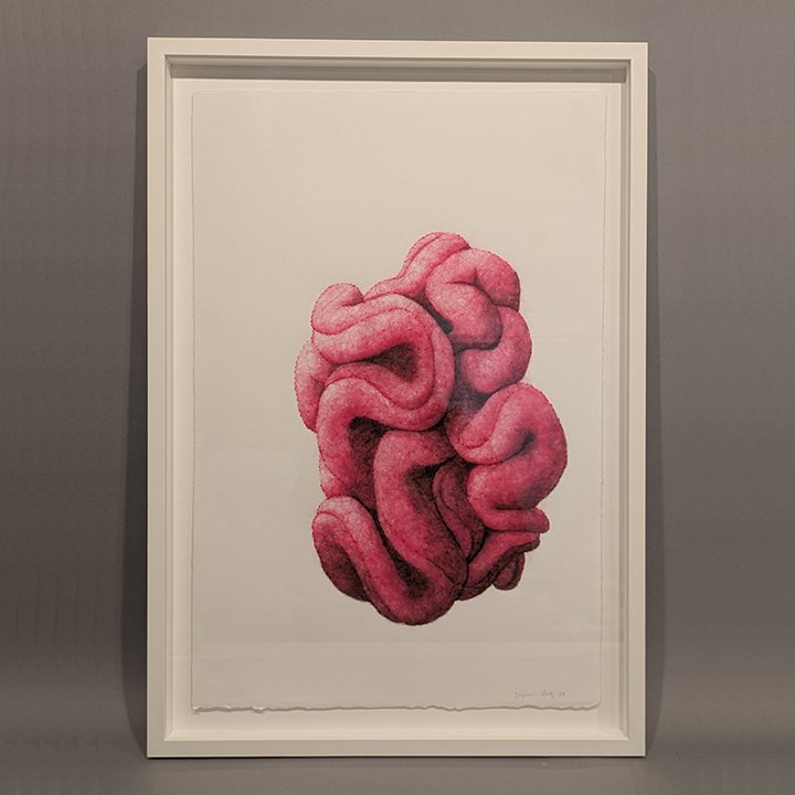 Succulence 6 framed.jpg