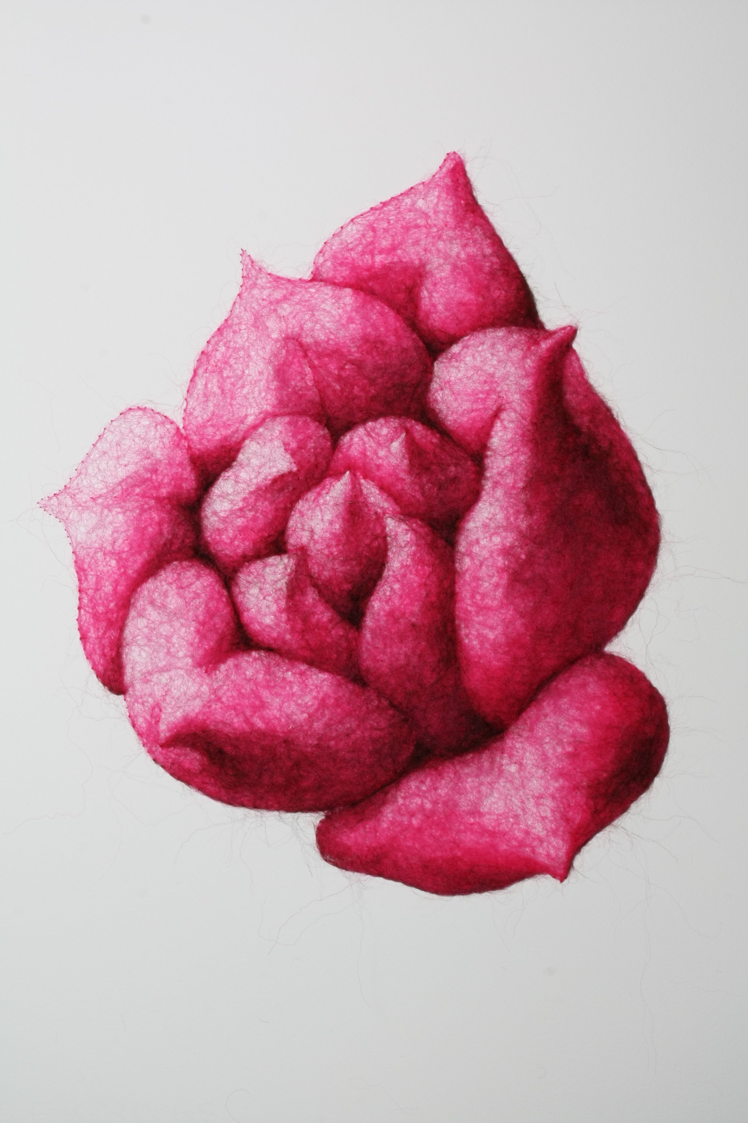 Succulence 1, wool through paper, framed, 25.5 × 18 inches, 2025