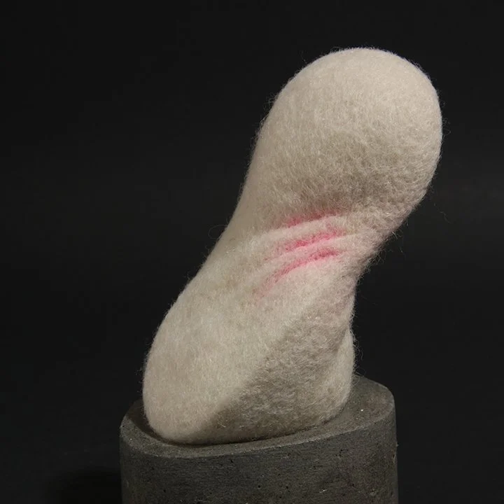 Consentia 8 Panduriform IMG_1306.jpg