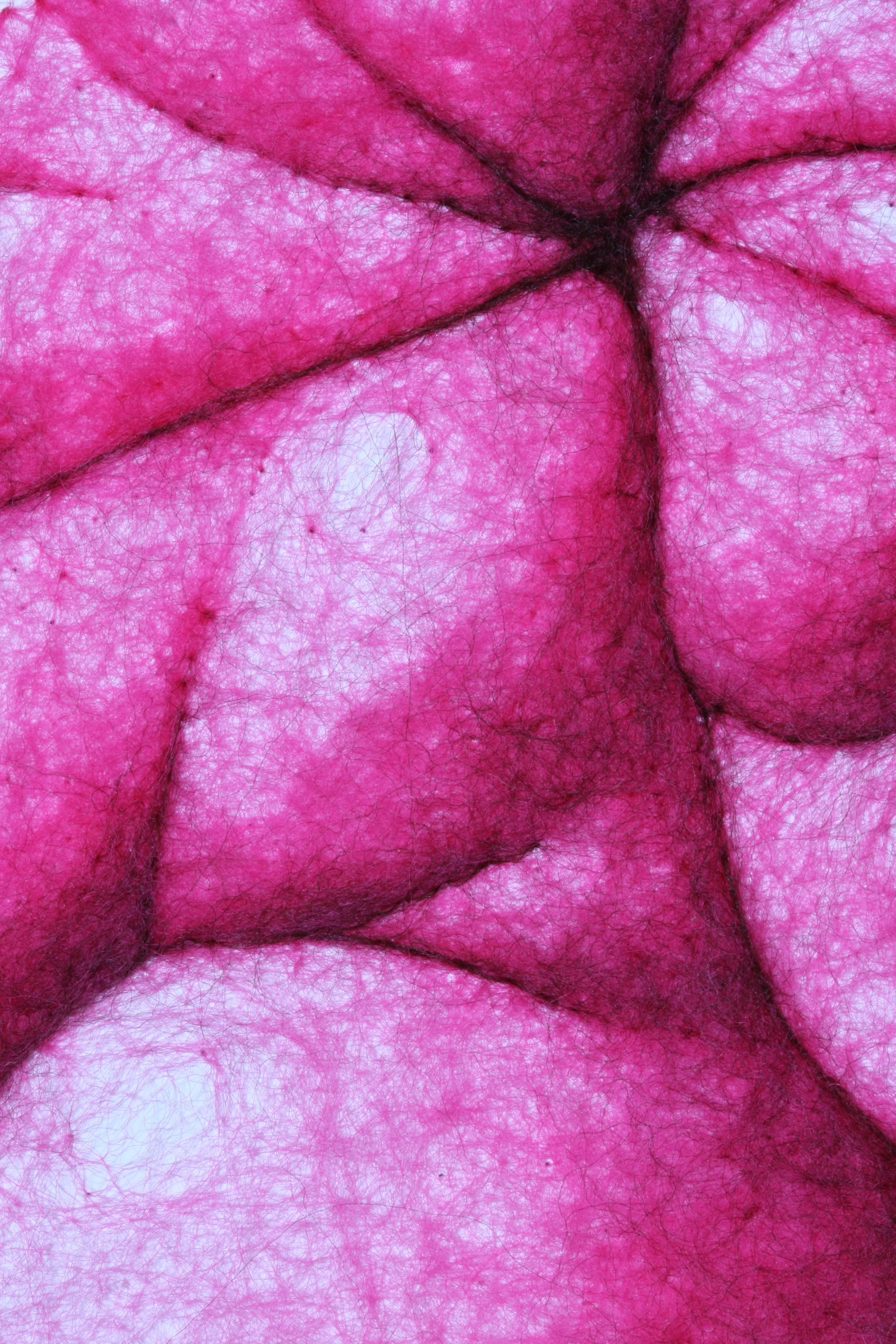 Fructus 1 (Solanum), wool through paper, 15 x 15 x .25 inches, 2025