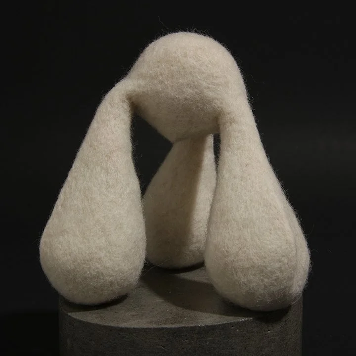 Consentia 9 Isostate IMG_1289.jpg