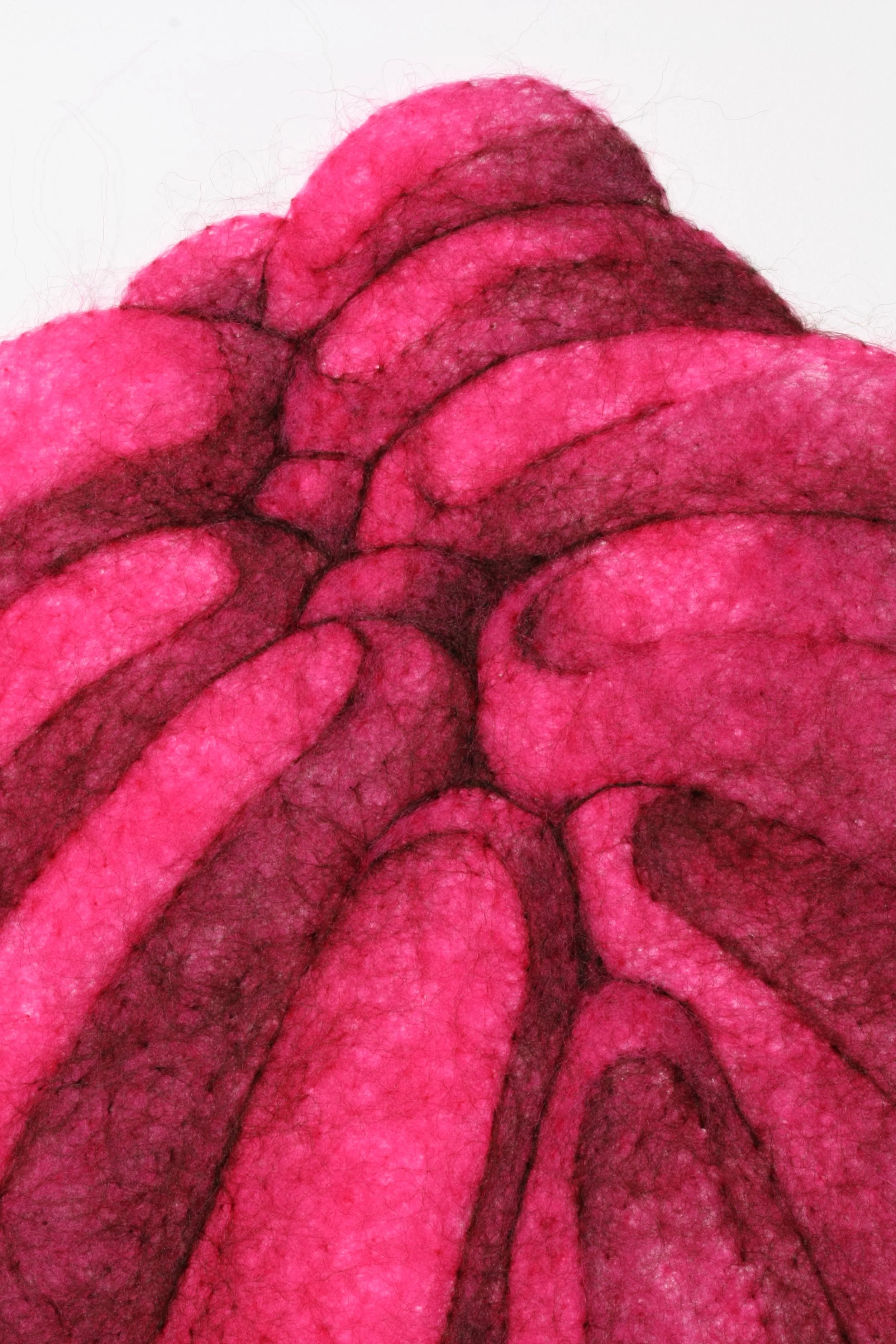 Succulence 2, wool through paper, 22 x 15 x .25 inches, 2025