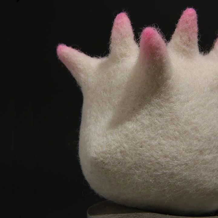 Consentia 4 Muricate detail IMG_1286.jpg