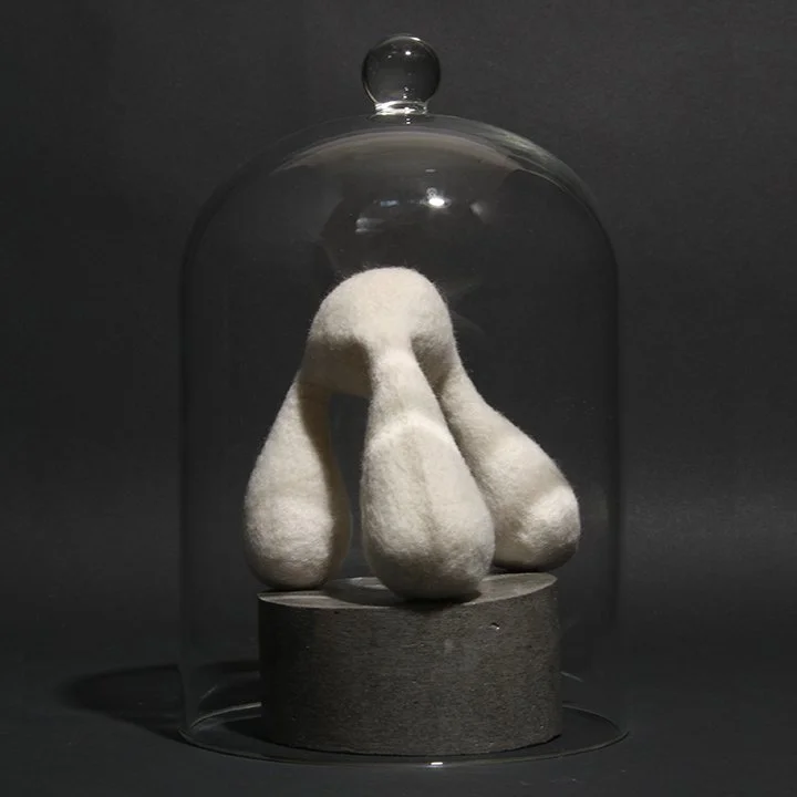 Consentia #9 (Isostate)