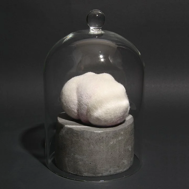 Consentia #6 (Knurled)