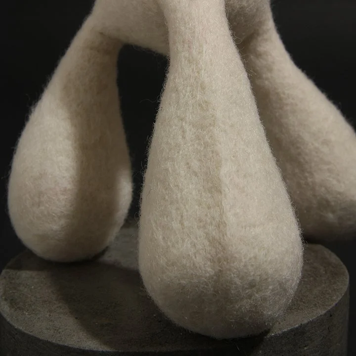 Consentia 9 Isostate detail IMG_1290.jpg