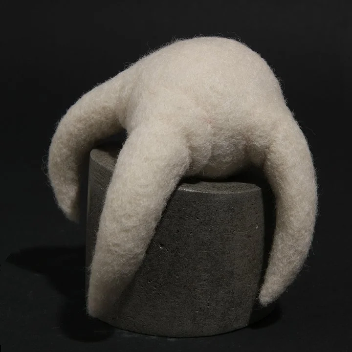 Consentia 7 Monocular IMG_1317.jpg