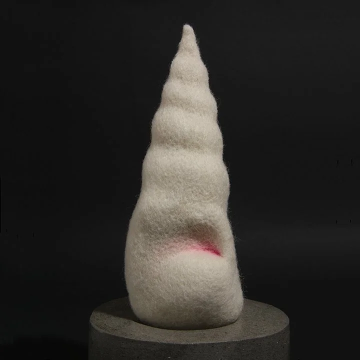 Consentia 2 Torsion IMG_1270.jpg