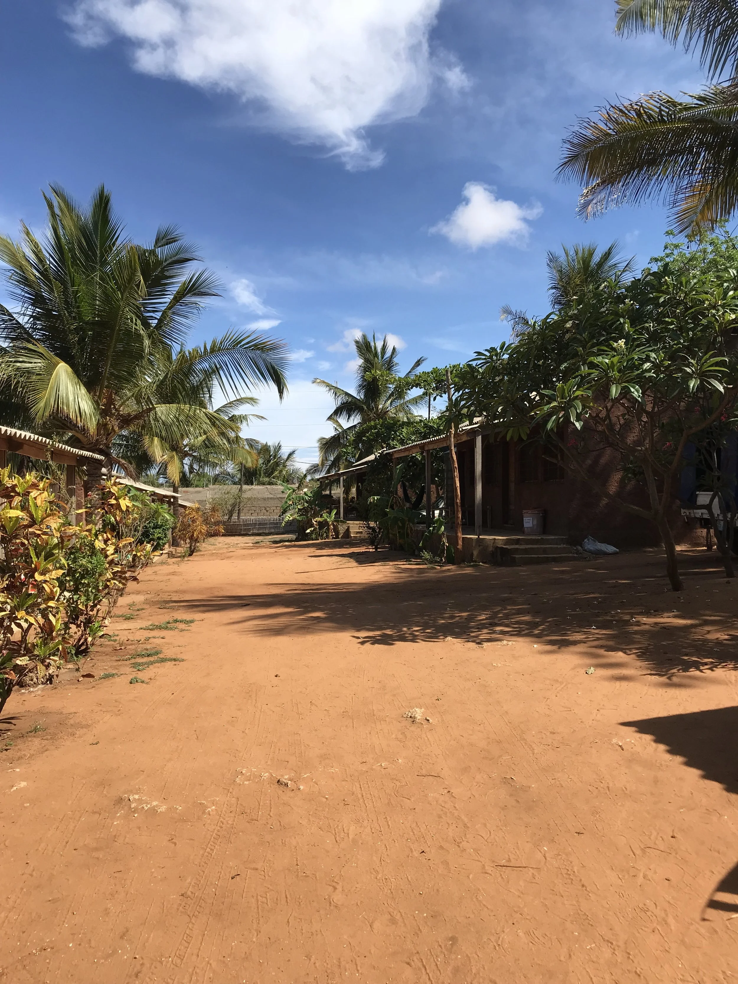 Update #1 (Africa) - What's it like here so far? (10/14/2017)