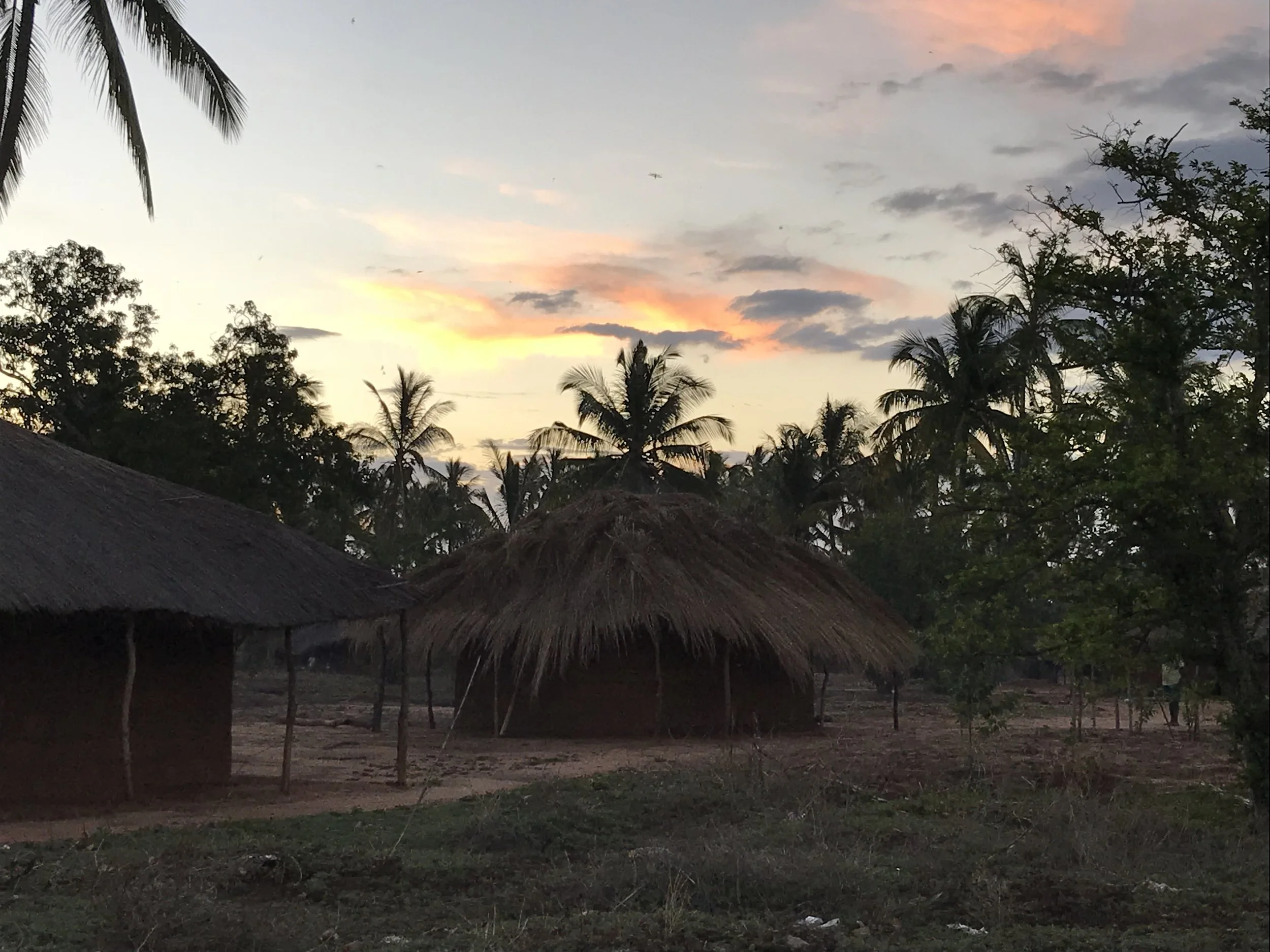 Update #5 (Africa) - Brazil, babies in dump & bush #2 (12/12/17)