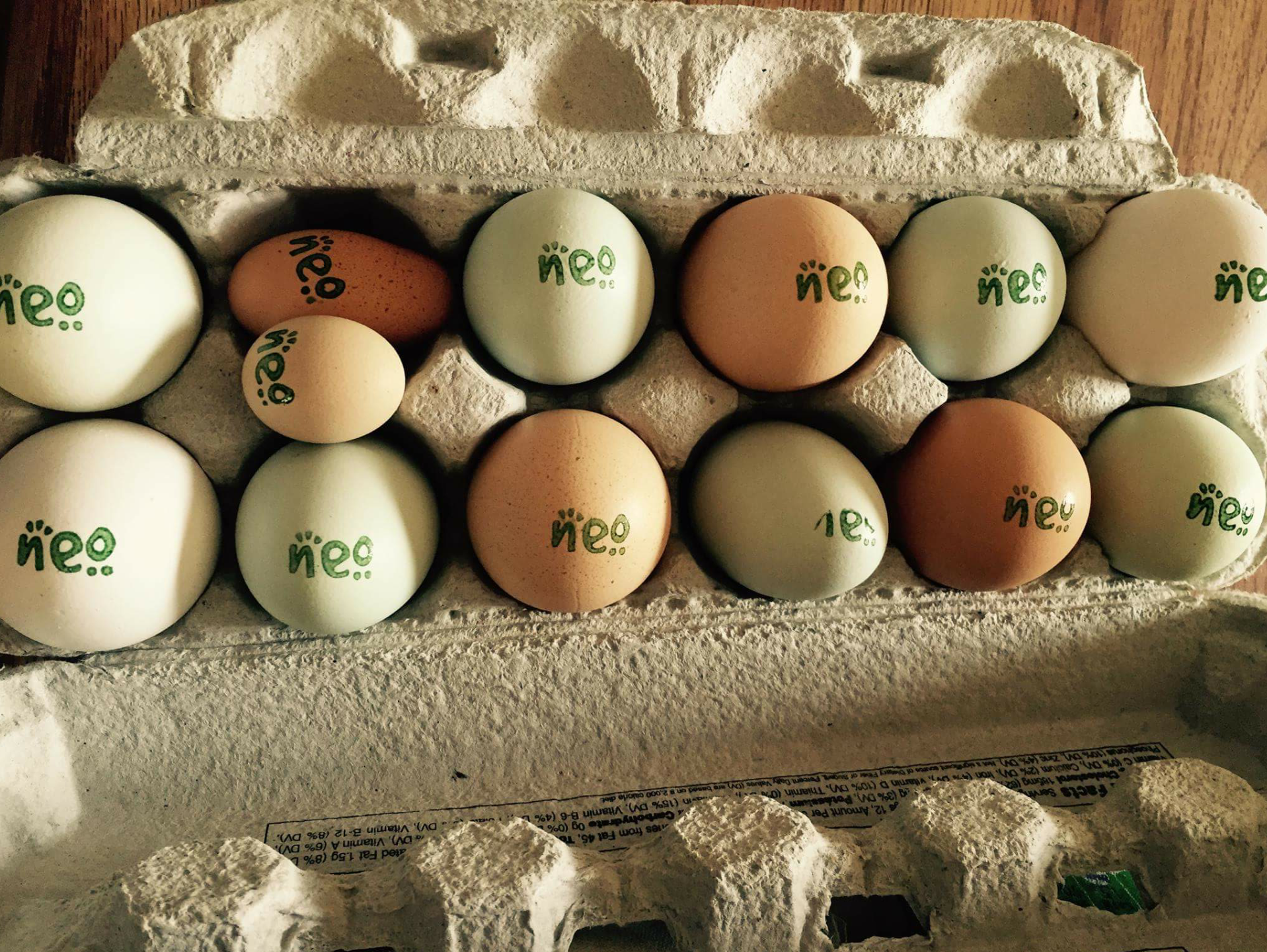 eggs.png