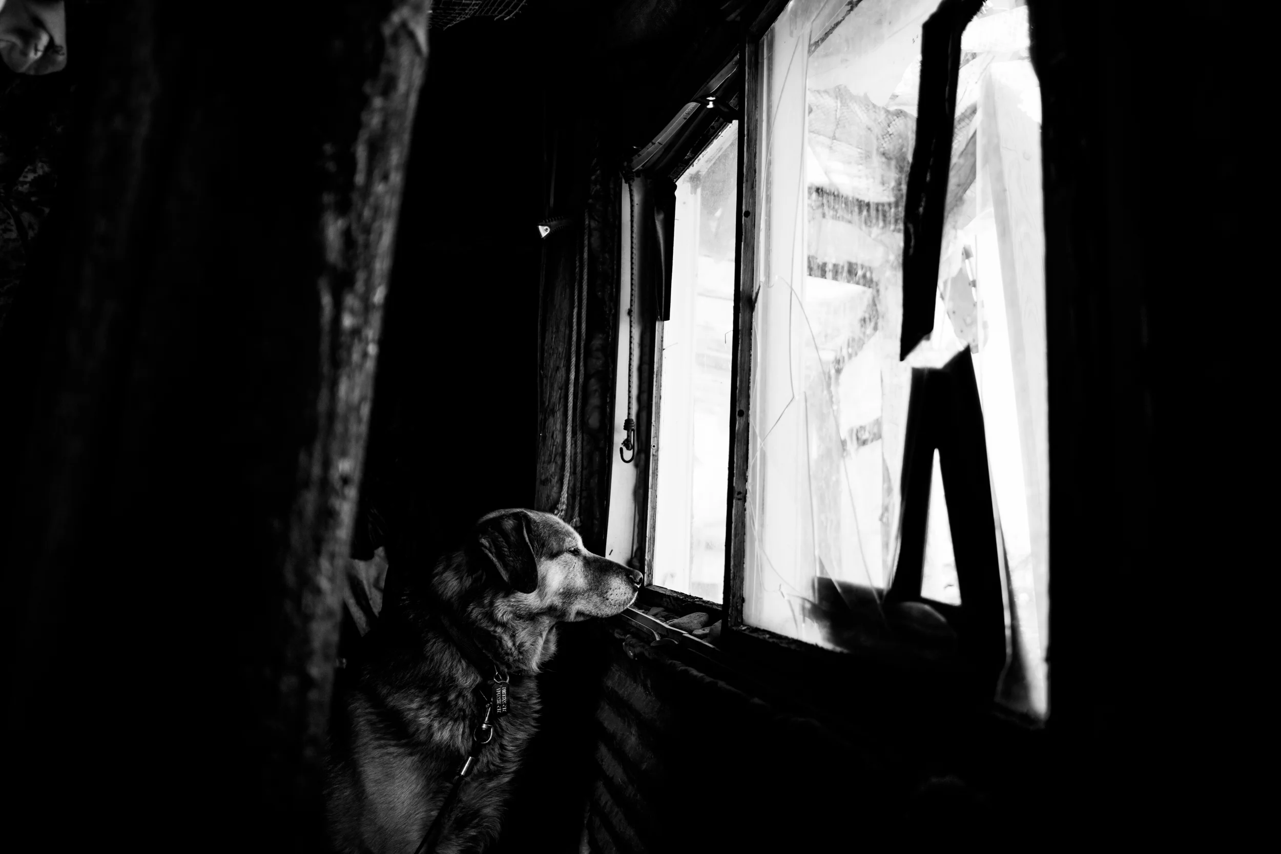 alaska_squarespace (6 of 18).jpg