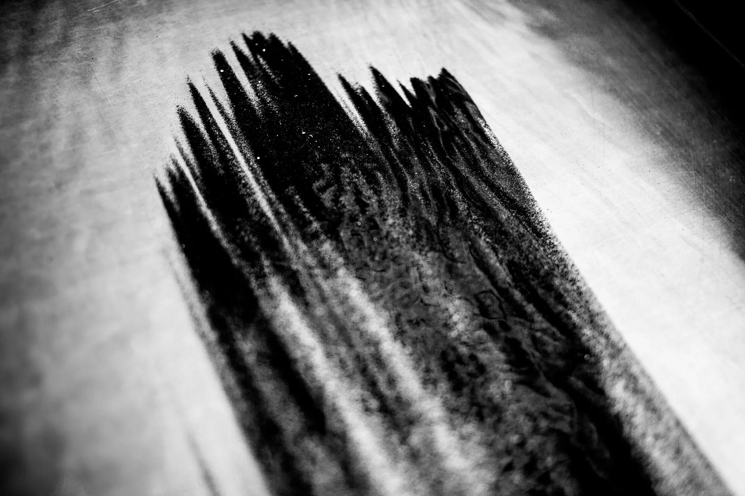 alaska_squarespace (14 of 18).jpg