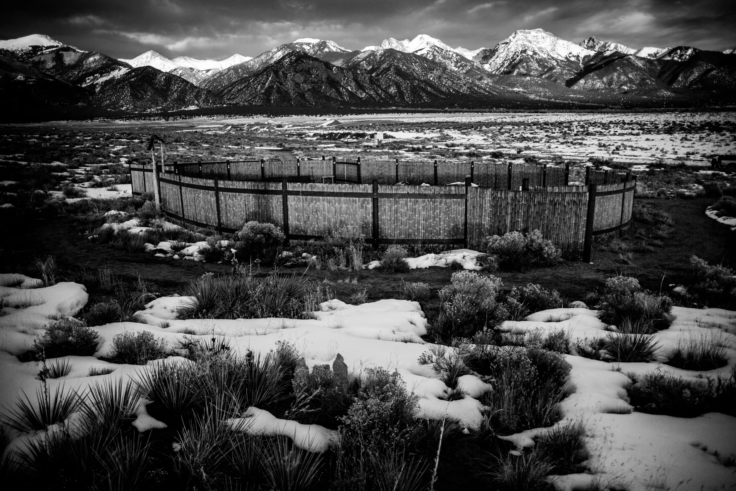 death_squarespace (2 of 10).jpg