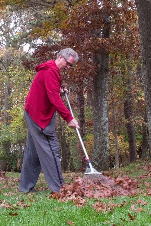 raking.jpg