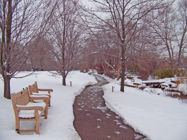 sidewalk_bench_snow_ice_winter_trees-1258868.jpg