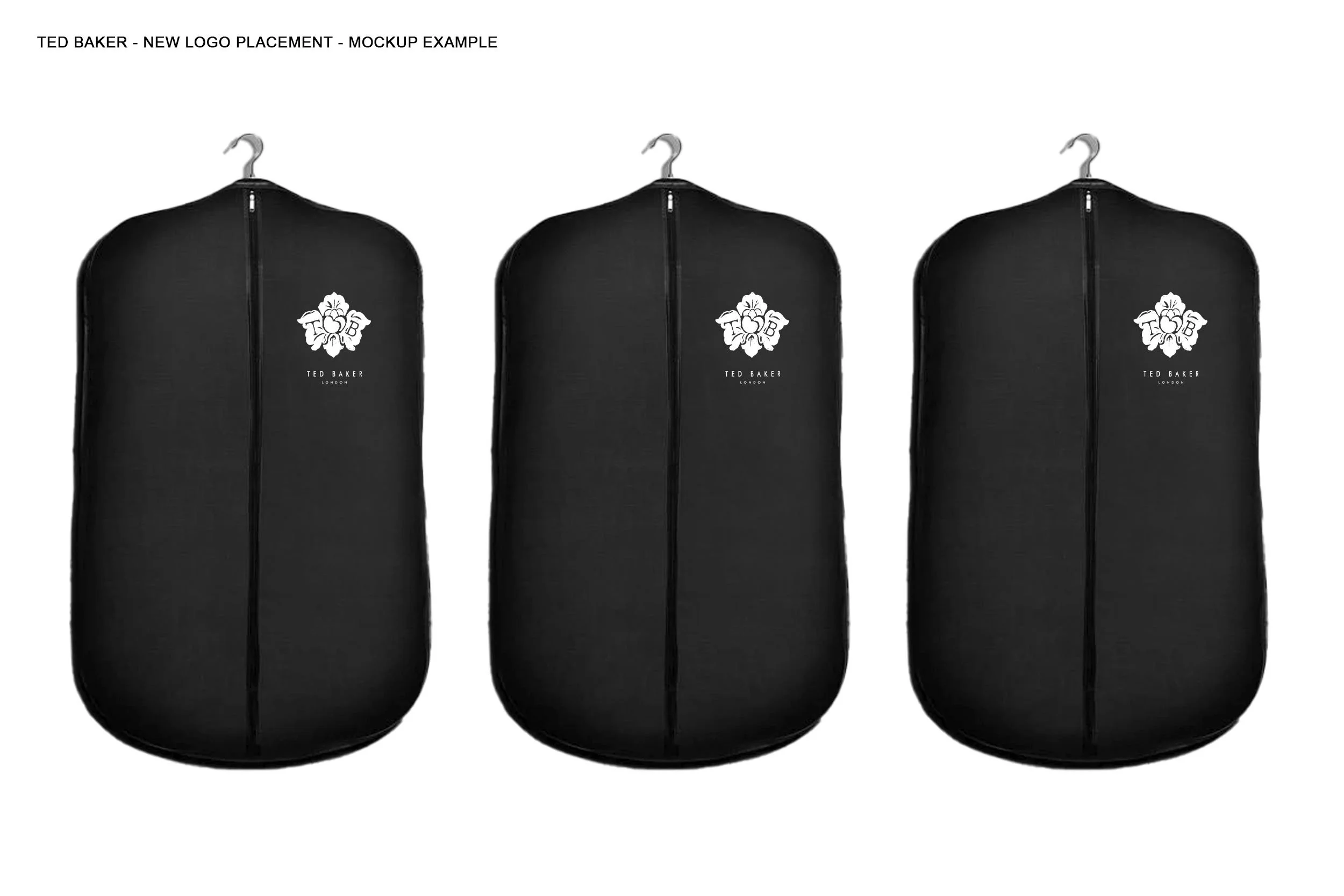 TEMP placement_new logo development copy.jpg