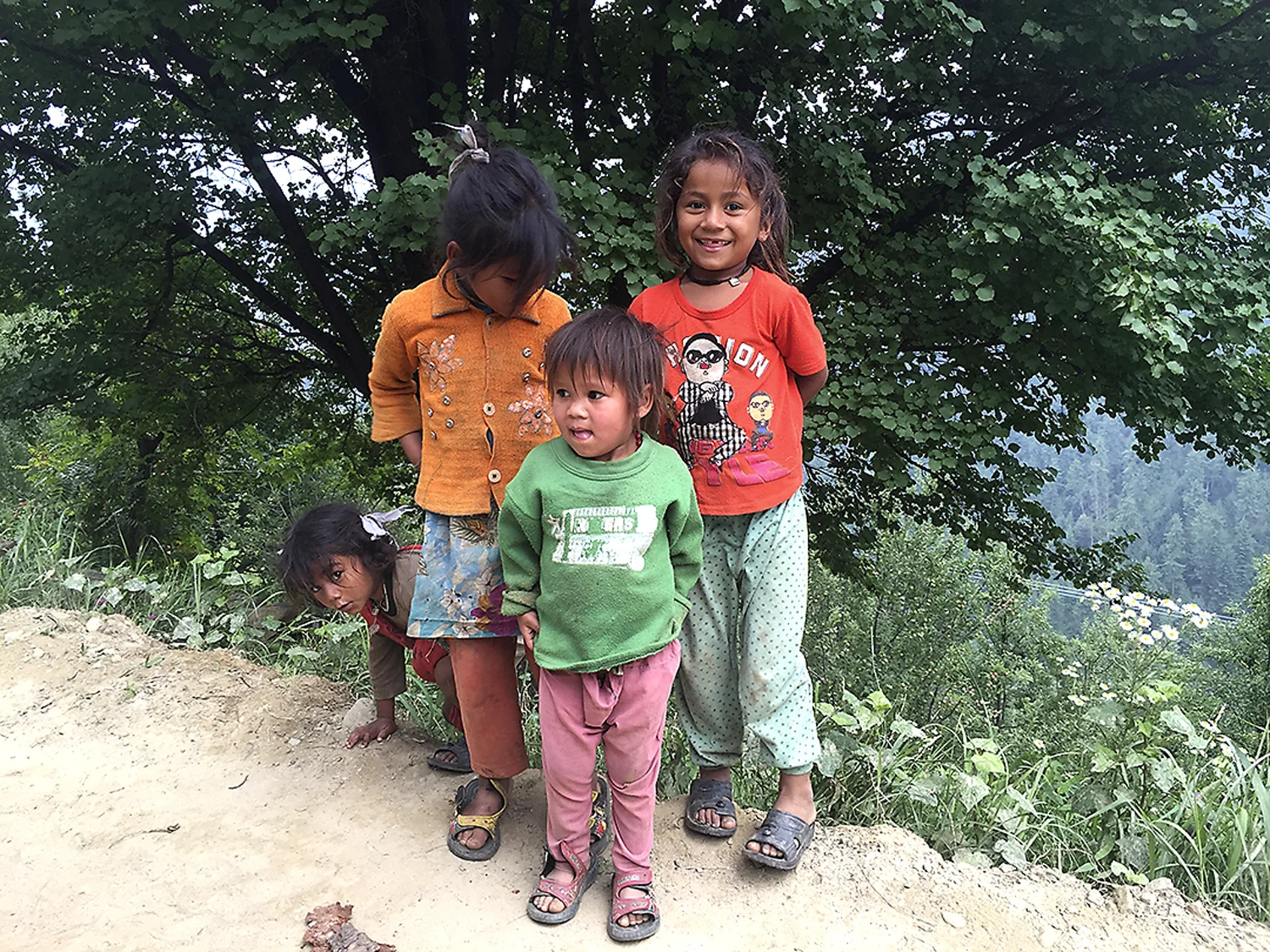 Wild cheeky children of the Himalayas.