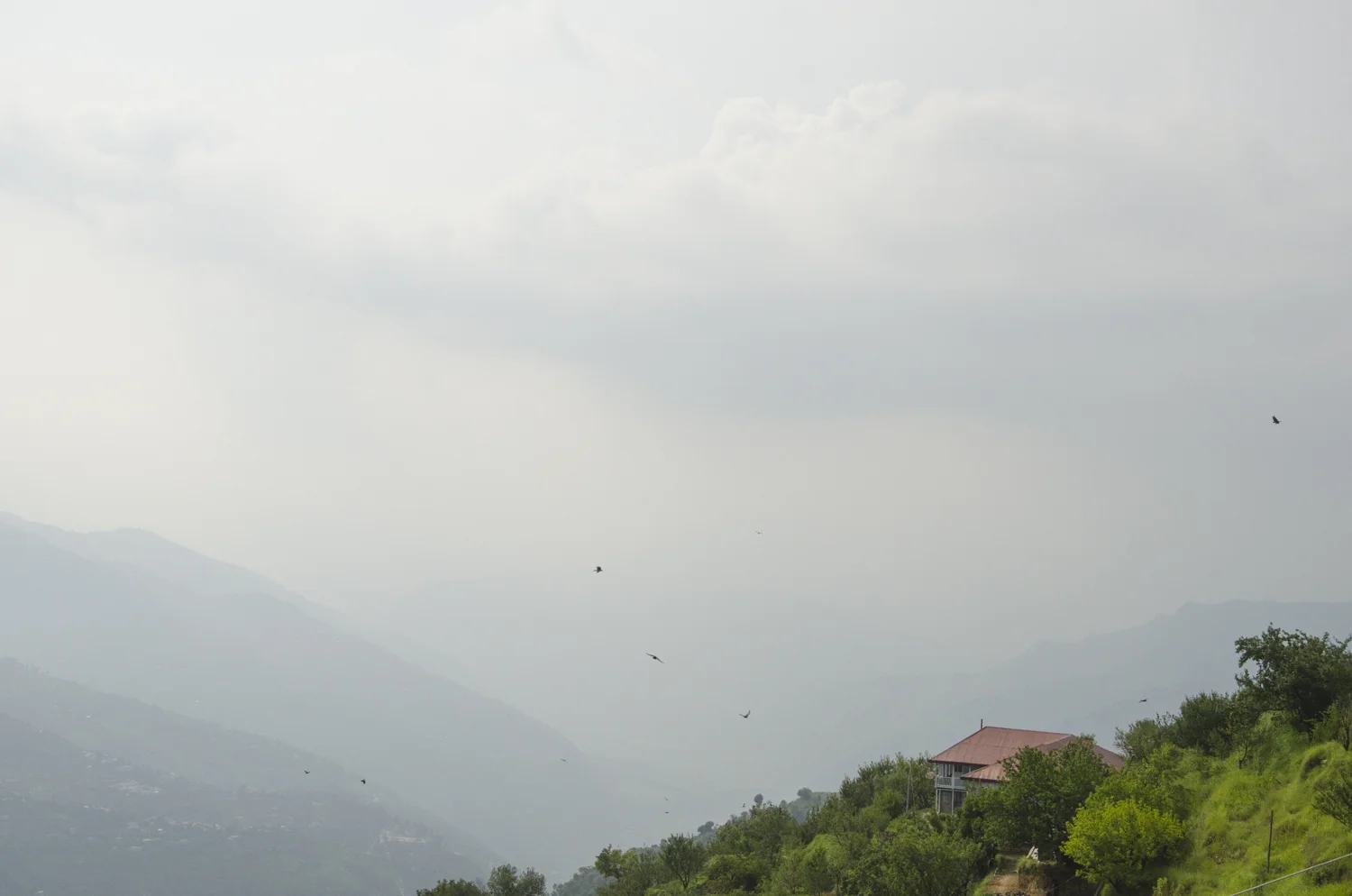In the clouds