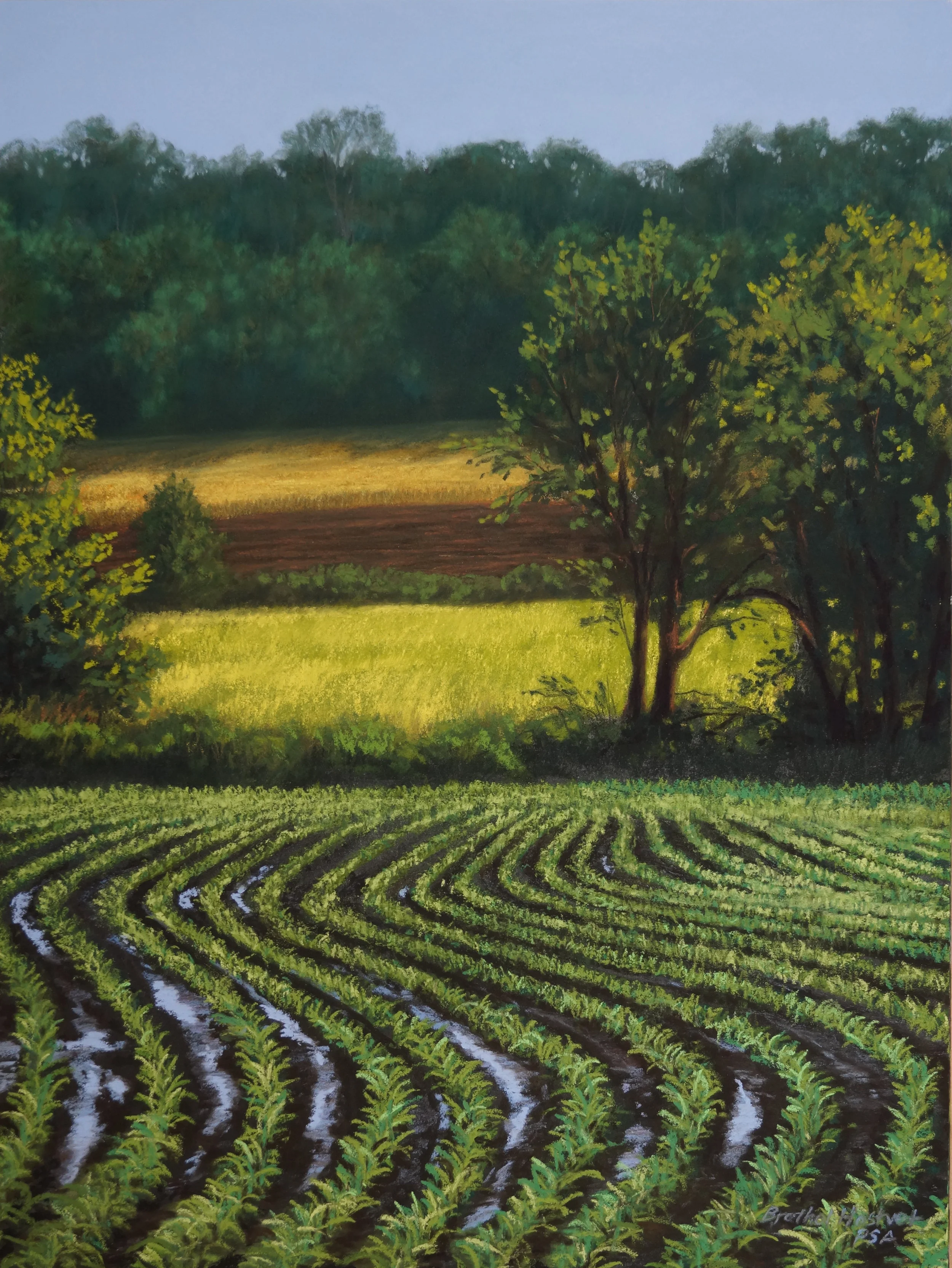 Wet Spring I