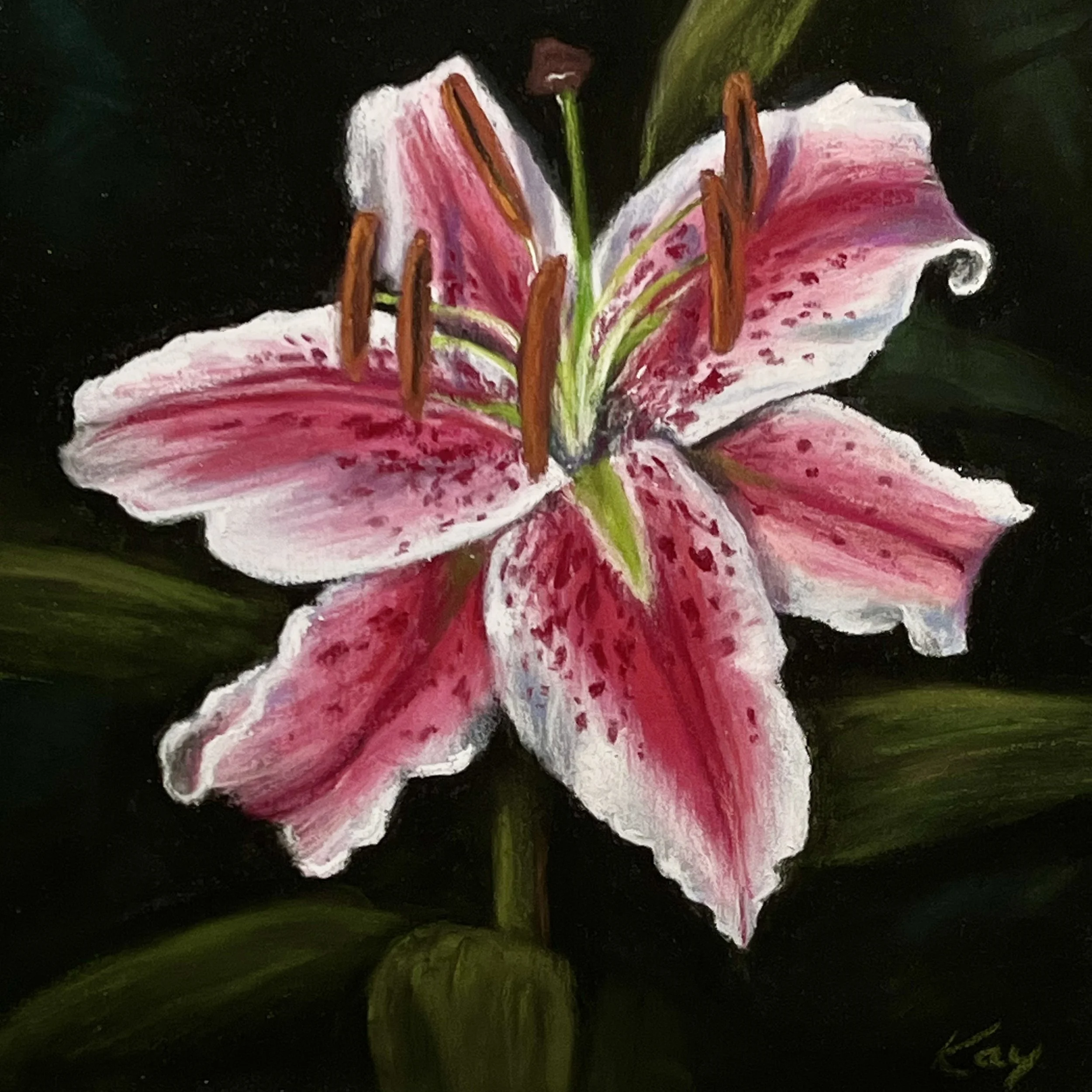Lilium orientalis