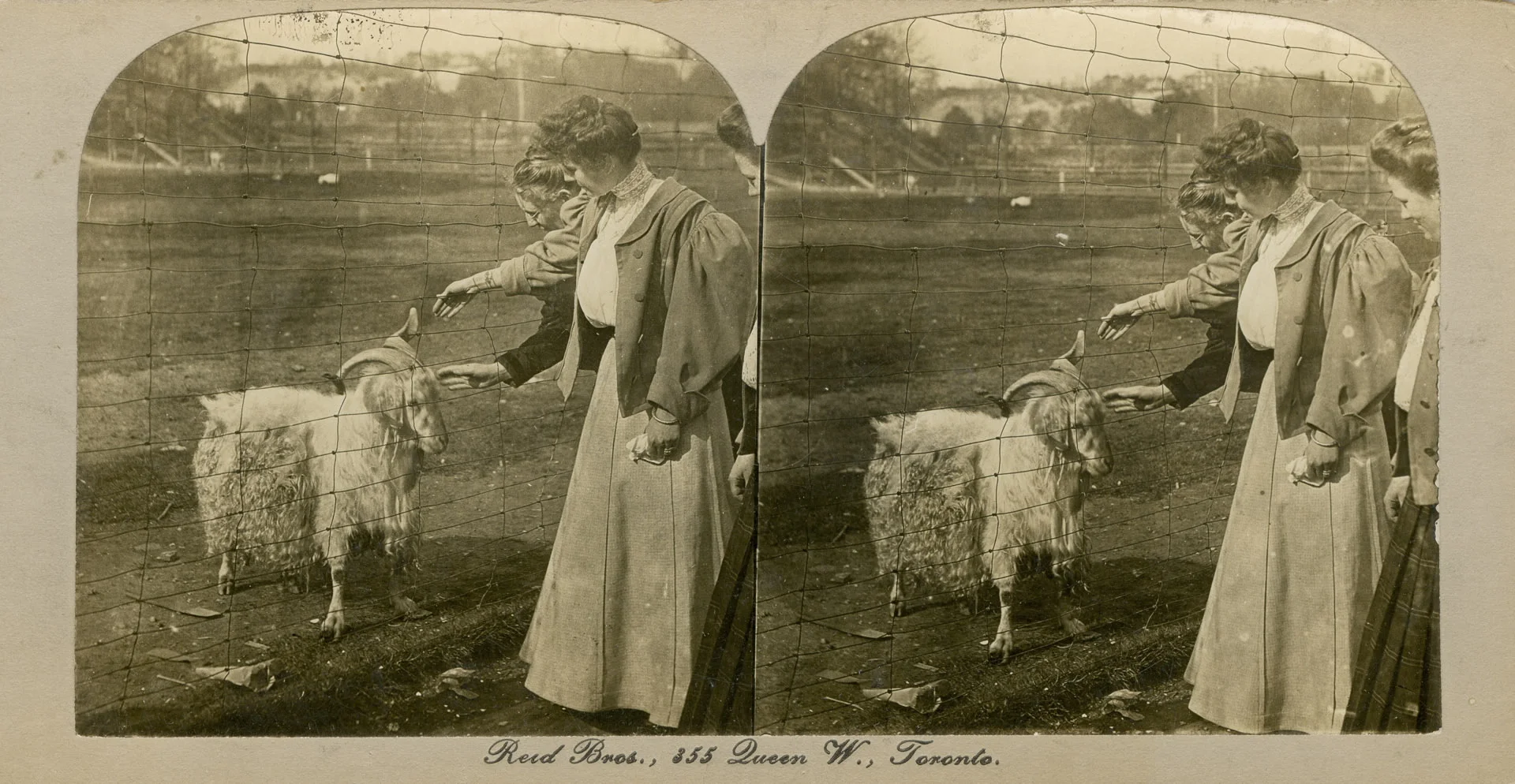Riverdale Park Zoo, 1900
