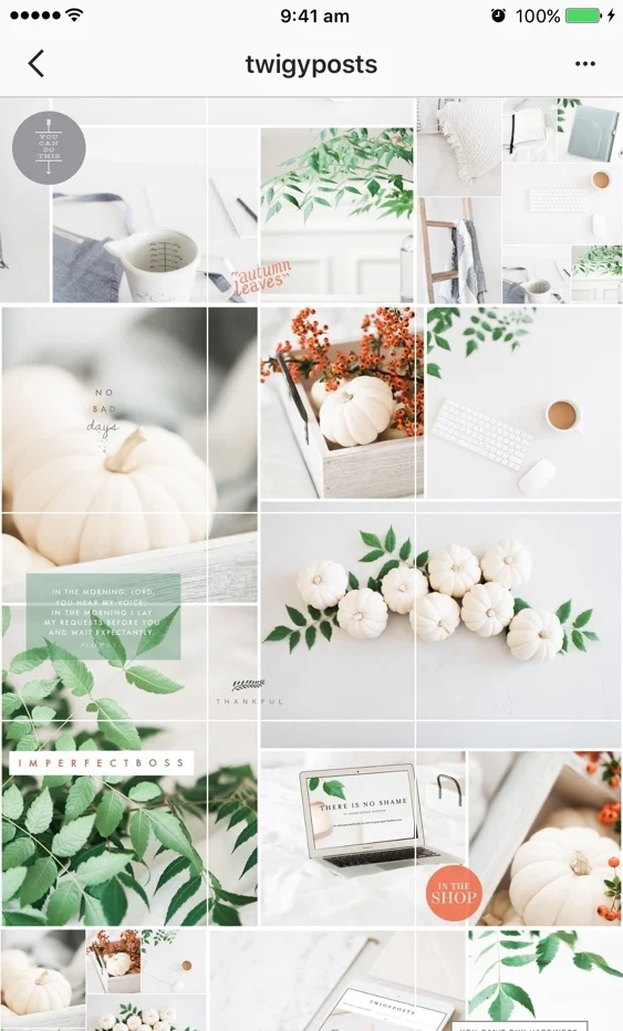 twigyposts.jpg Beautify Your Gram