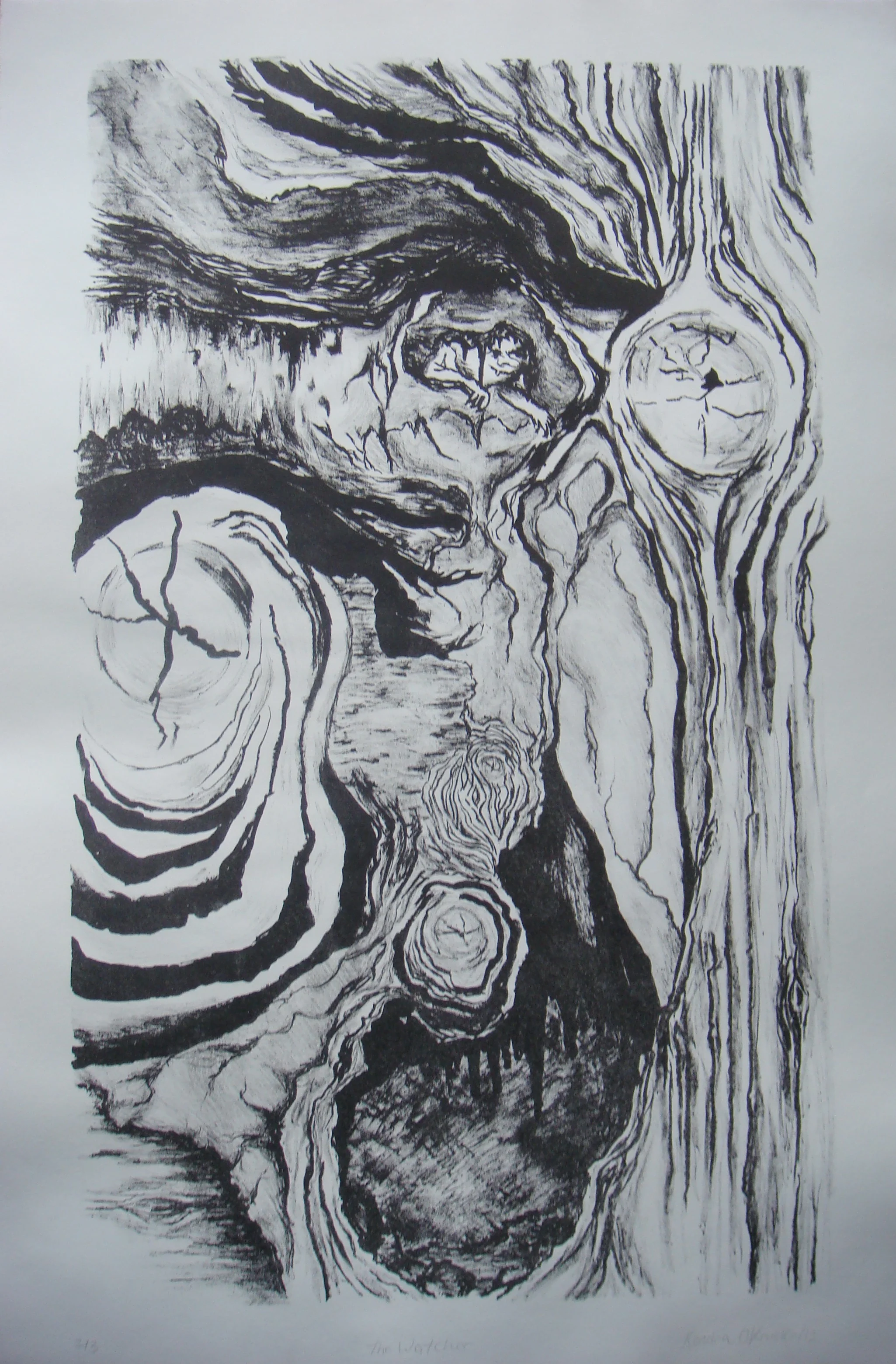 The Watcher, 2011, Lithography, 20 x 12%22.JPG