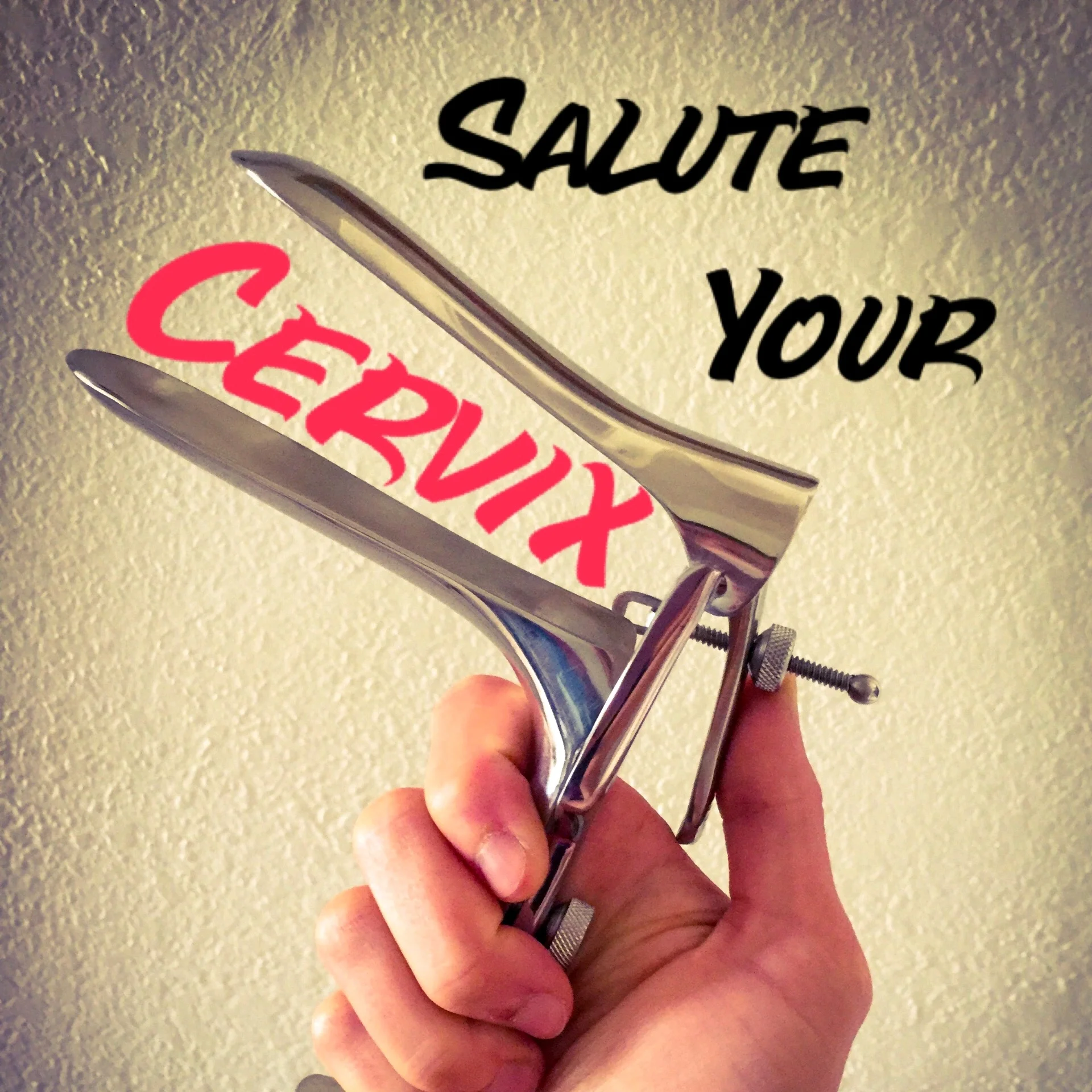 Salute Your Cervix: A Self-Exam Workshop