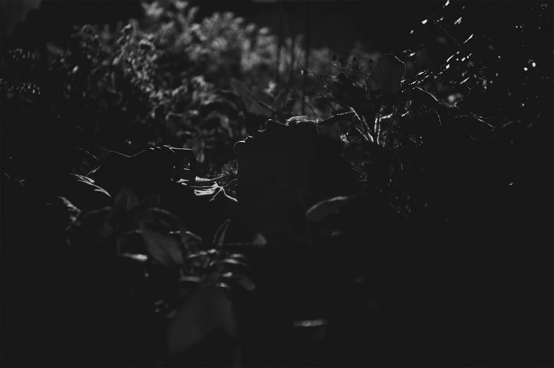 _TRL6273TEST_2 copia.jpg