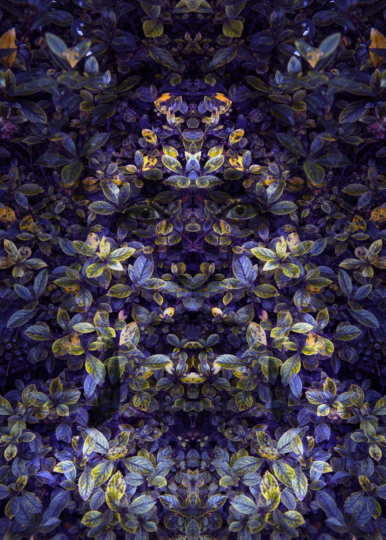 portrait valeria.jpg