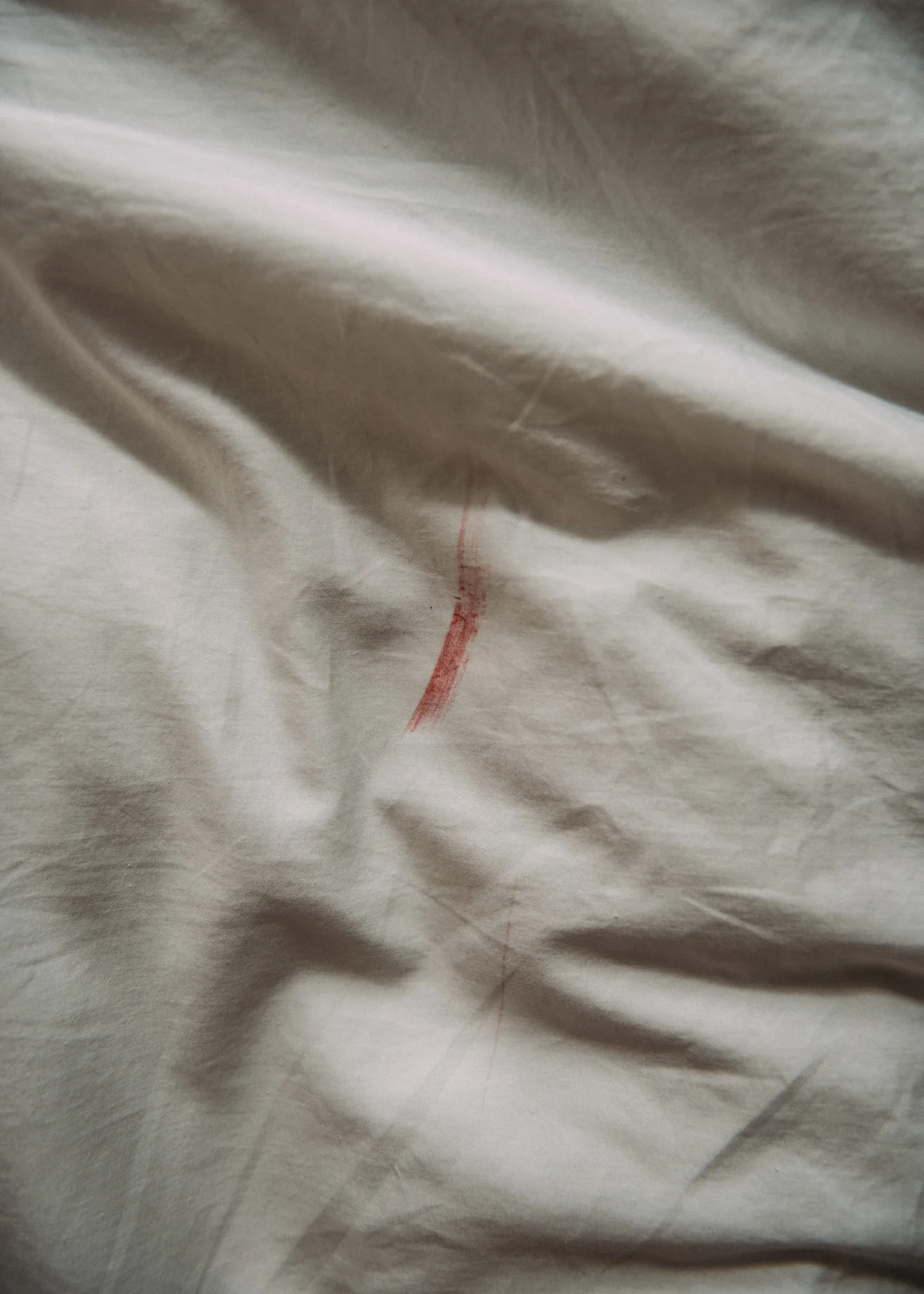 210 Gina Moxley WEB.jpg