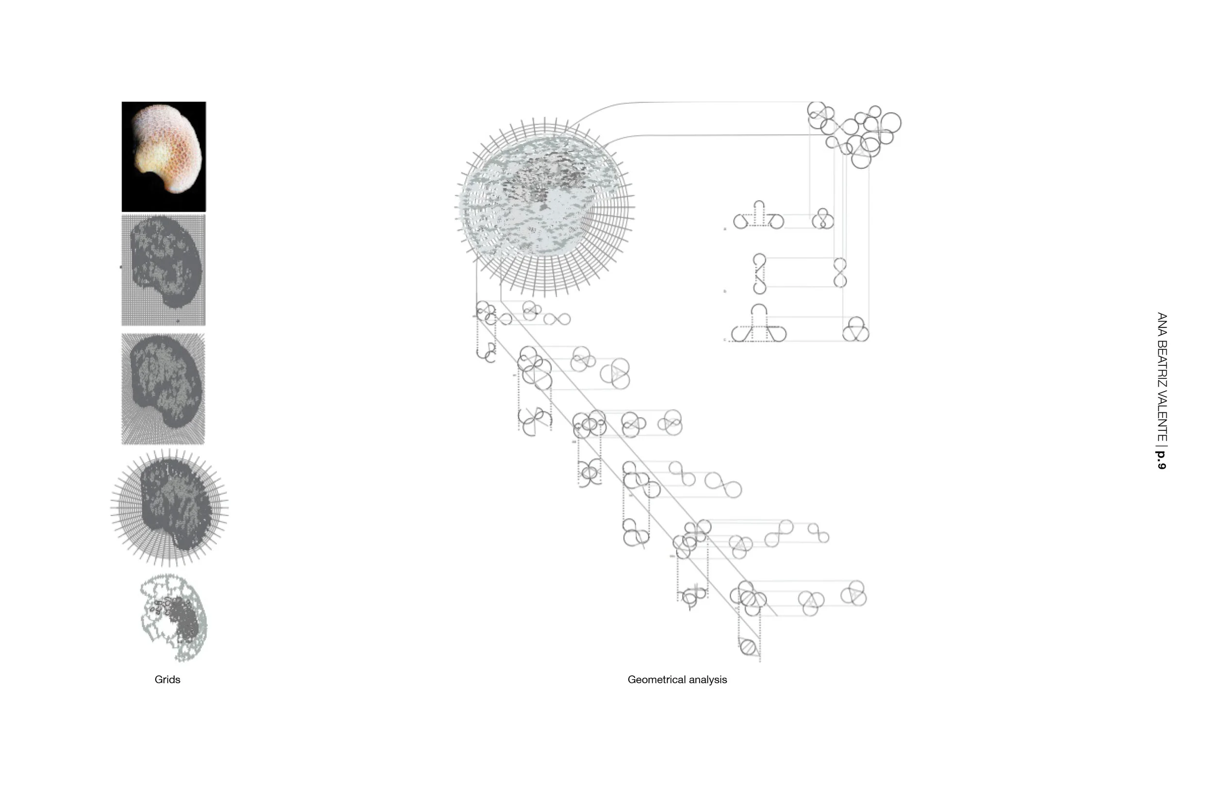 Biomorphic2.jpg
