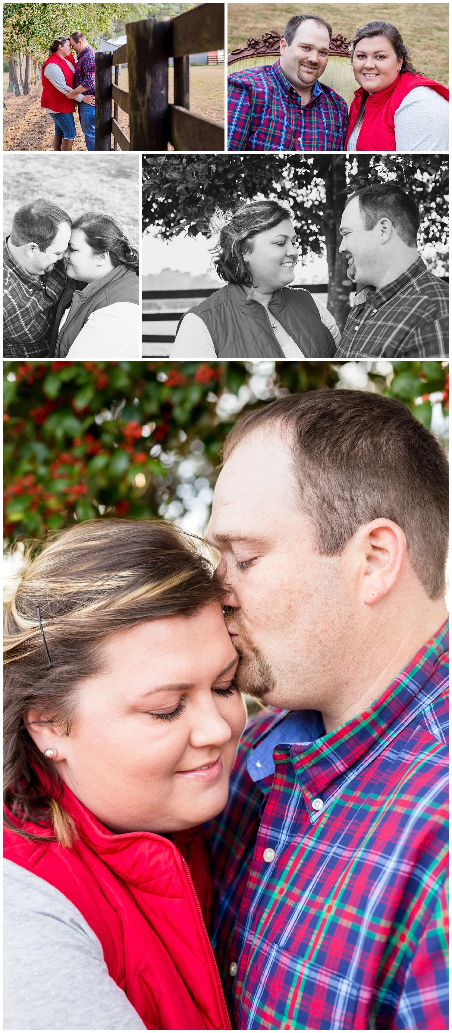 Holly Springs, NC Photographer , Sugg Farm Park