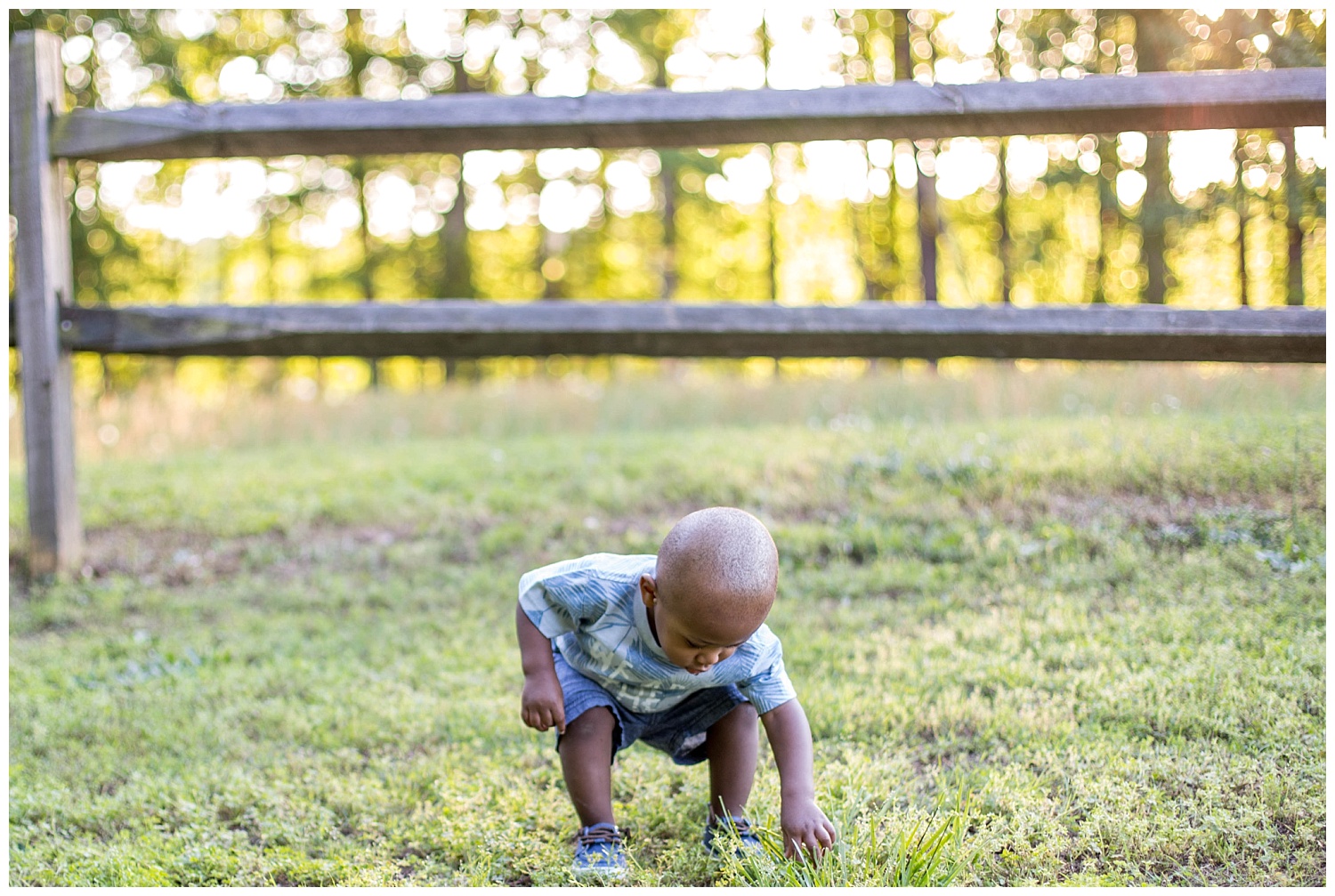 Lake Benson Park Birthday Garner, NC Photographer