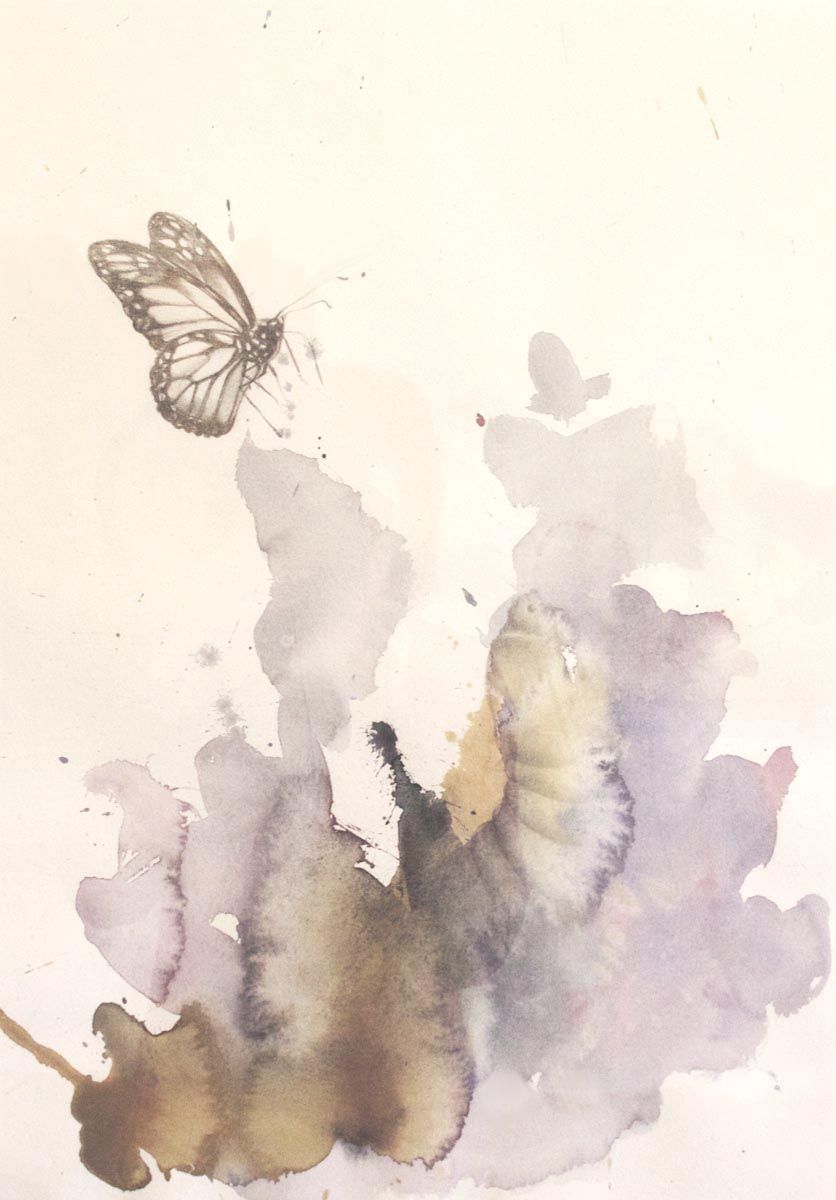 Untitled (Butterfly)