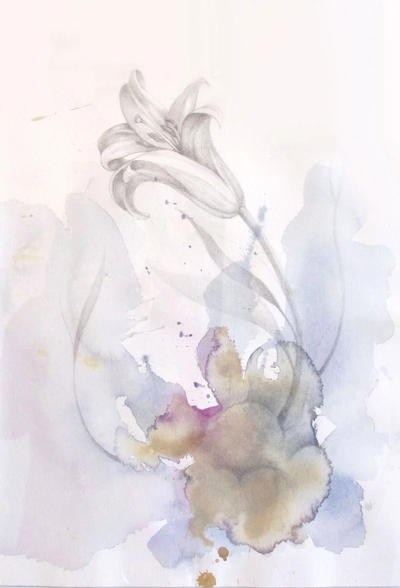 Untitled (Lillie Flower)