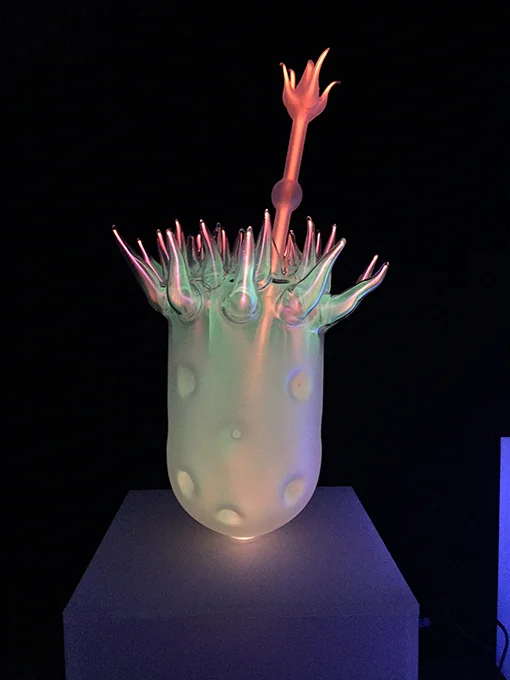 Inflorescence