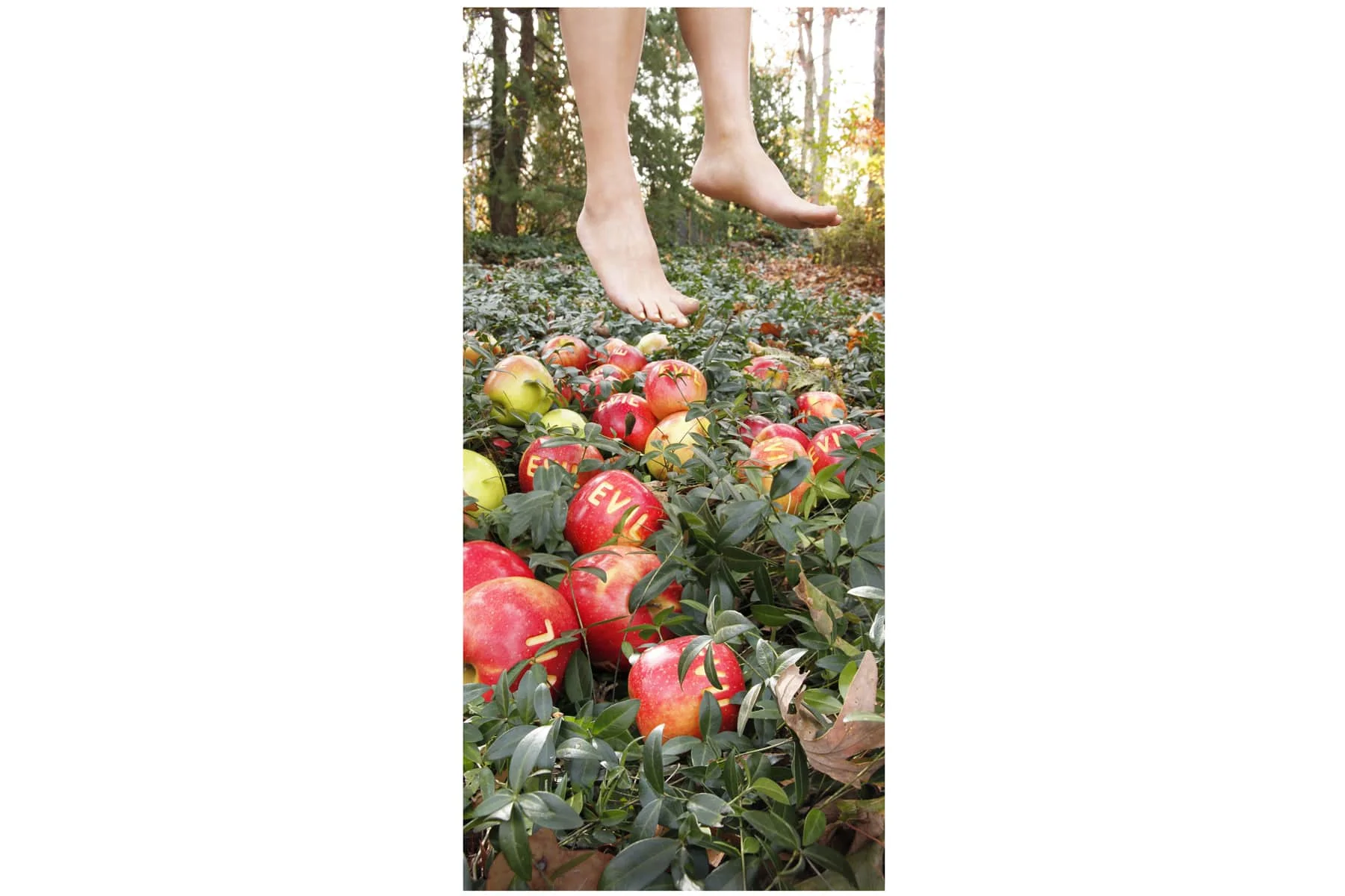 Step In