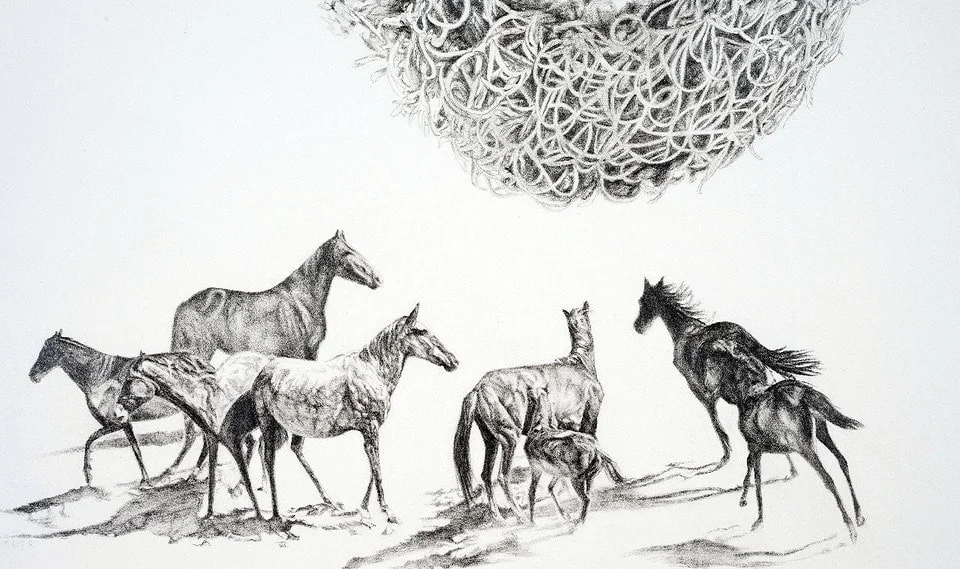 Banksia Mustangs