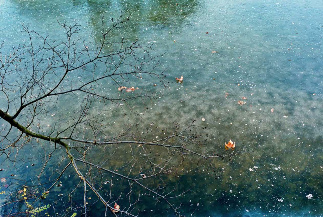 Frozen Bois de Boulogne