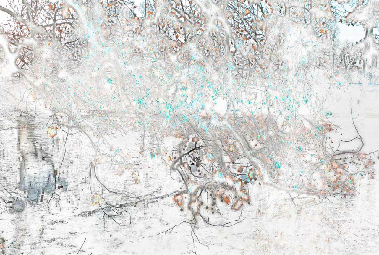 Cuprous Frozen Bois de Boulogne I