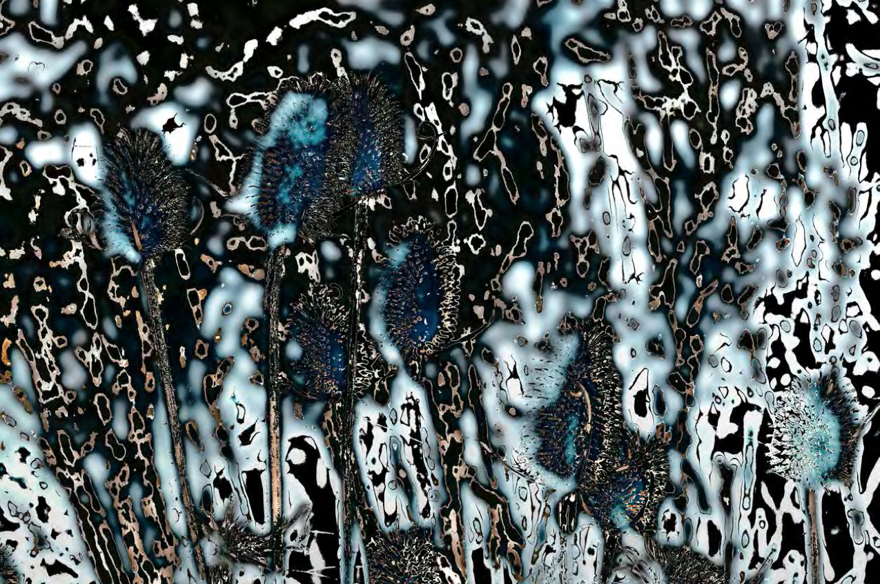 Study in Turquoise and Gold, Moonstone