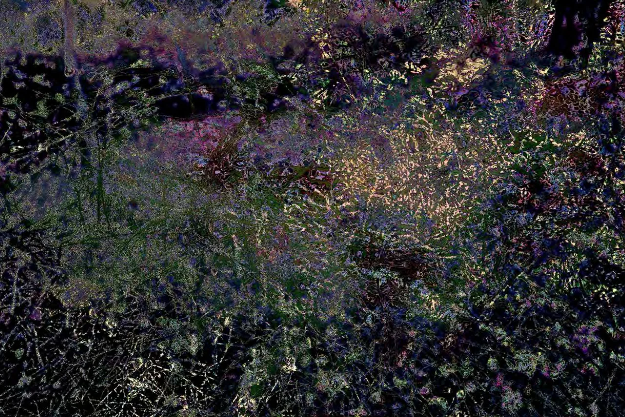Remnants of Purple, Grand Lac