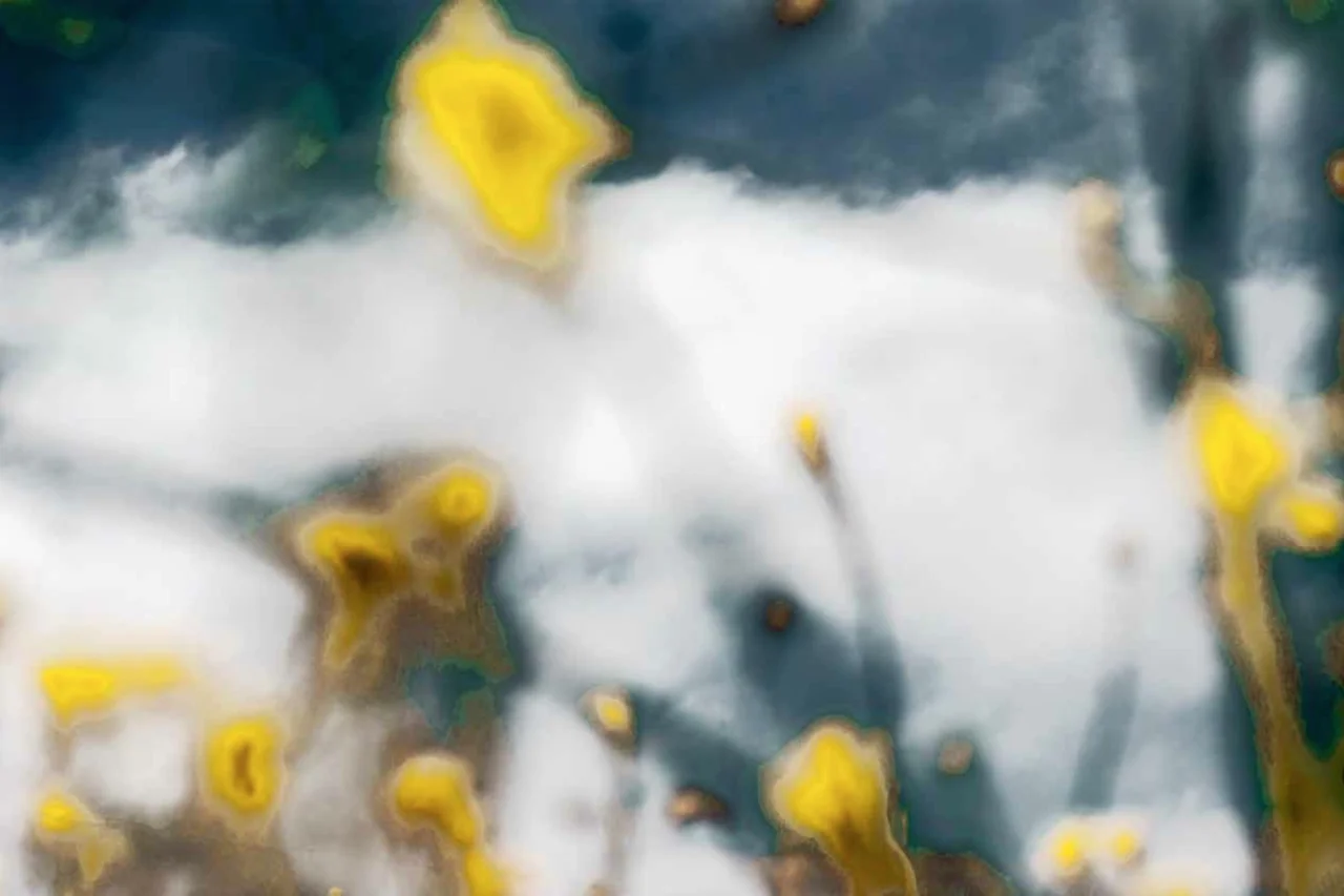 Sky with Yellow, Cowell Ranch