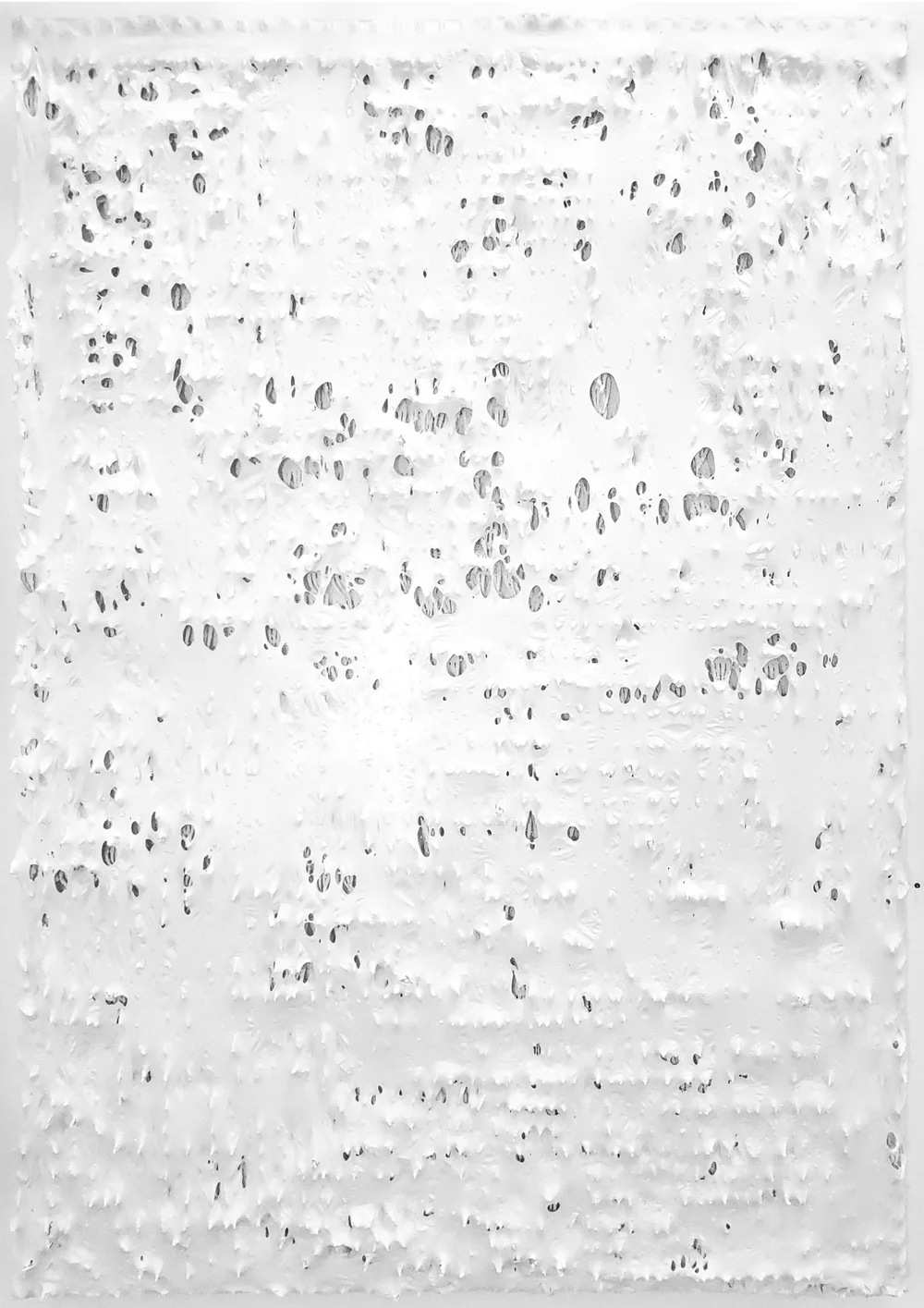 Thomas Roth — LOIS LAMBERT GALLERY