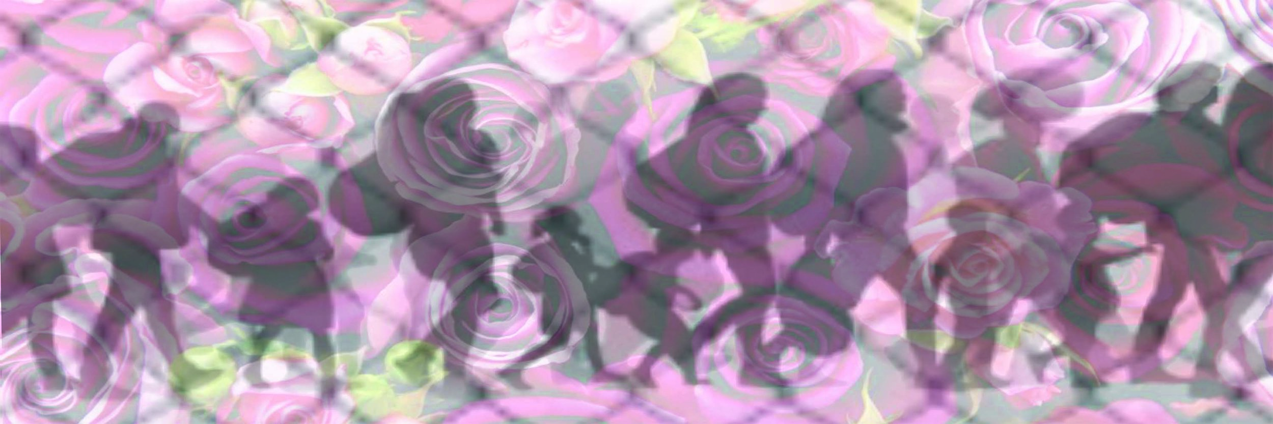 Joan Robey_edit.jpg