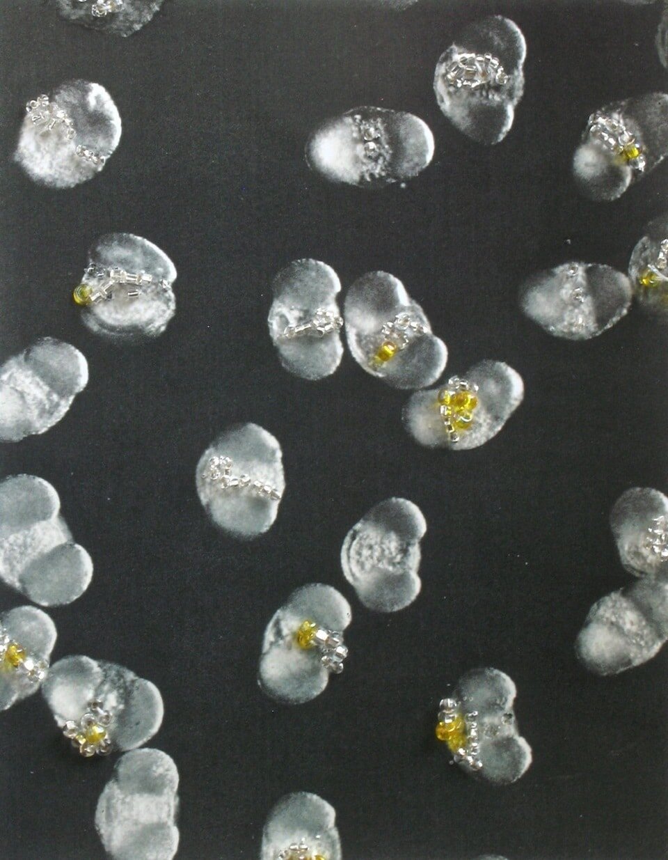 Deannabelinoff_primrosepollen_11%22x14%22_beadingcollageinkonmicroscopephotographonpaper.jpg