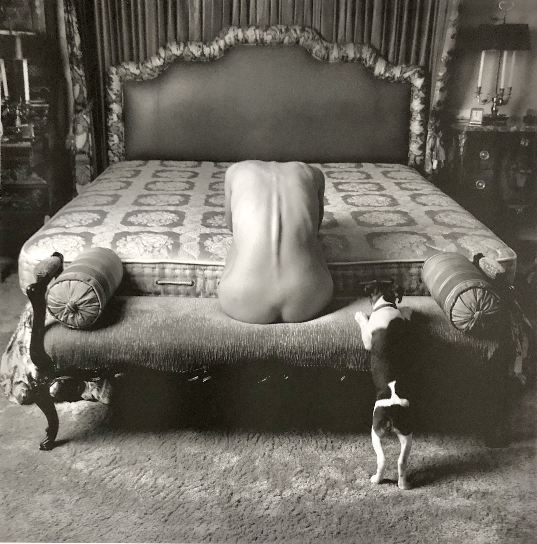 woman, dog, bed